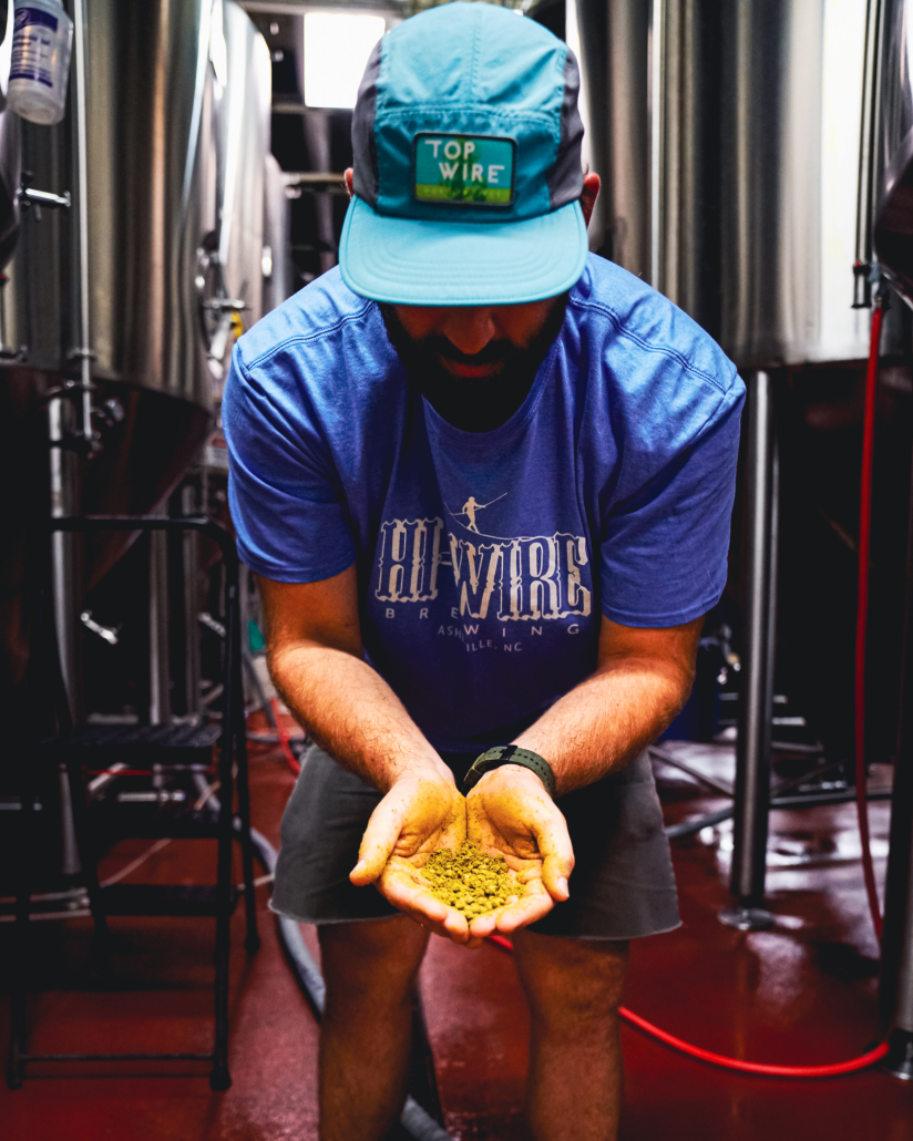 What do hops taste like Hi-wire brewing